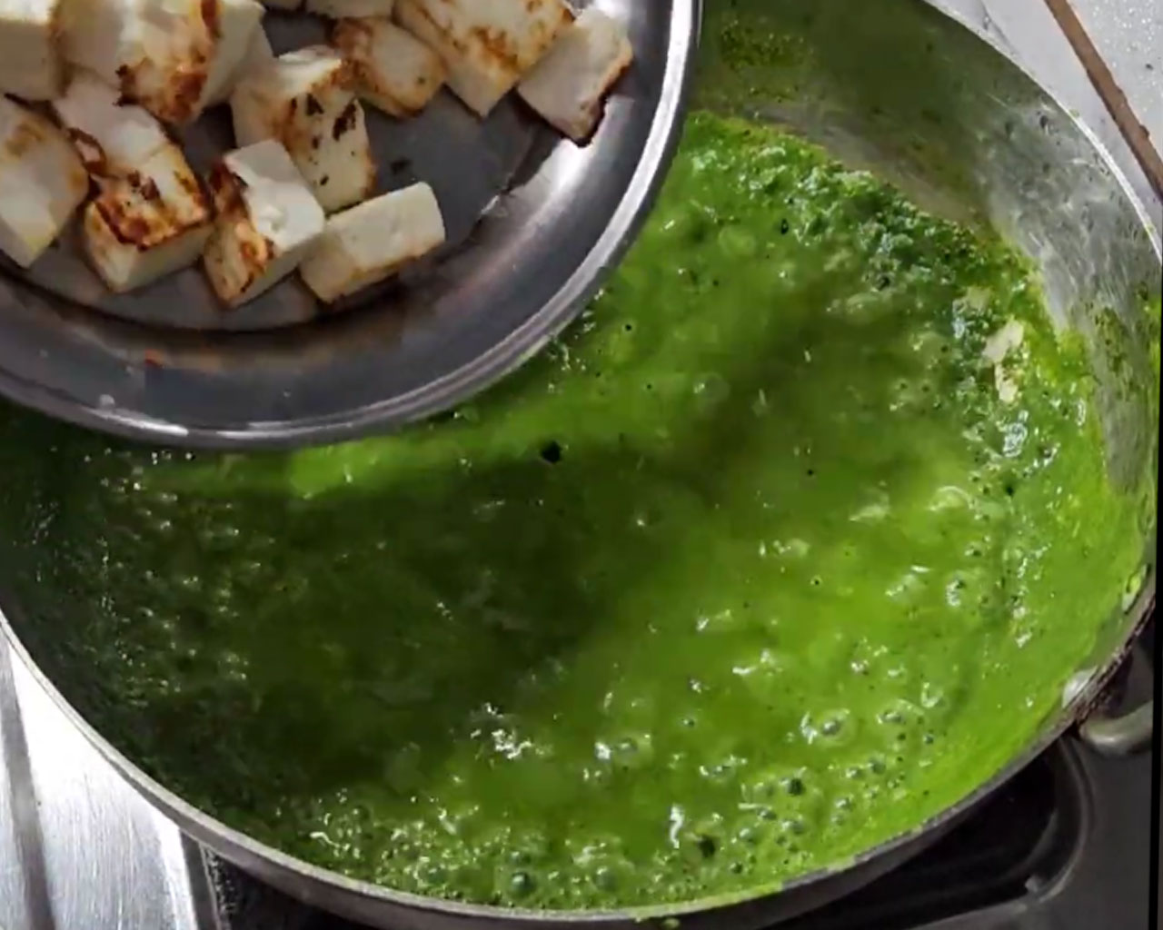 Cubes of fresh paneer added to the spinach gravy while making Palak Paneer