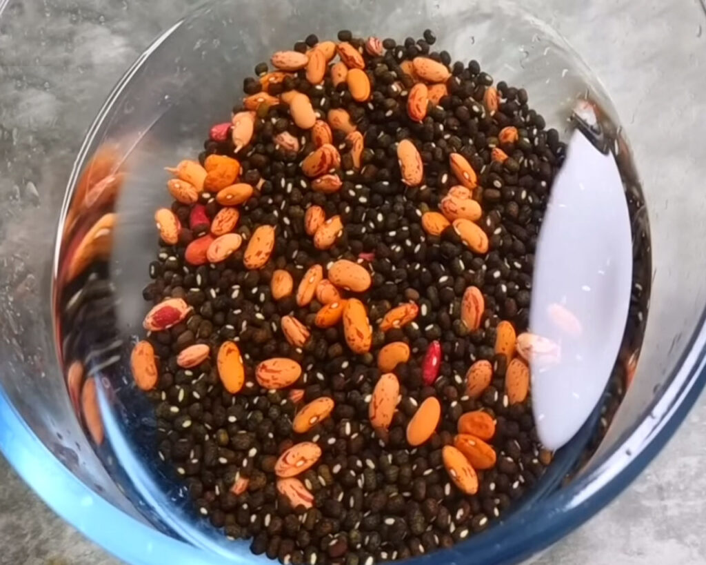 Bowl with black lentils and kidney beans soaking in water