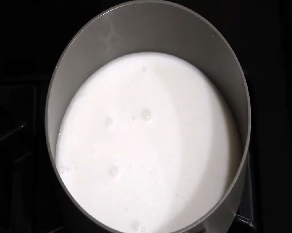 A medium-sized pot on a stove with unsweetened coconut milk.