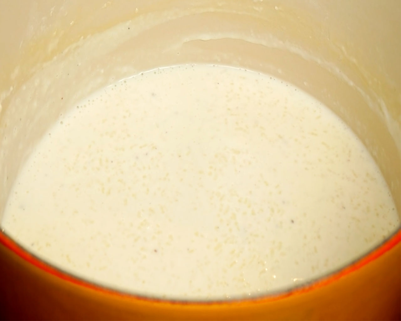 Rice kheer Indian rice pudding