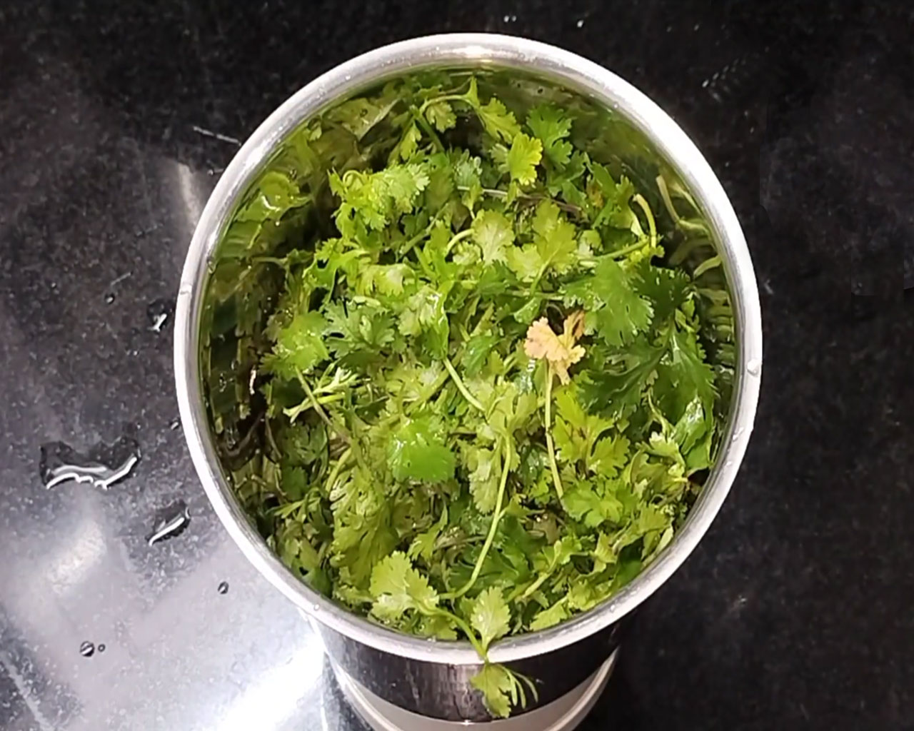 Fresh coriander leaves for making chutney